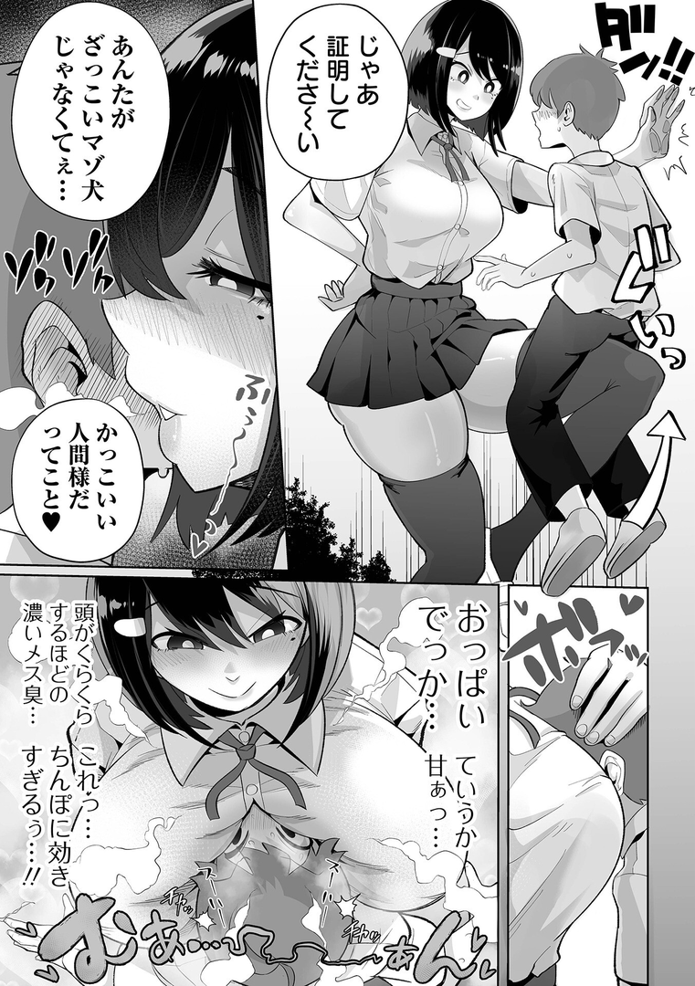 ザコマゾ・ホイホイ 画像3