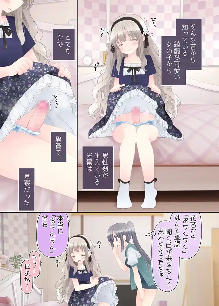 ヒミツのふたなり治療法の画像7